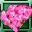 Bloodwort Flower icon